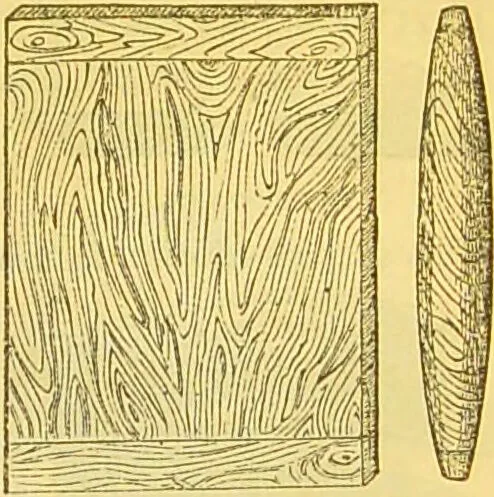 An illustration from The book of household management : comprising information for the mistress ... also, sanitary, medical, & legal memoranda; with a history of the origin, properties, and uses of all things connected with home life and comfort / by Mrs. Isabella Beeton., 1869, leaf 79