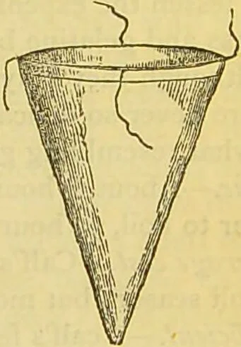 An illustration from The book of household management : comprising information for the mistress ... also, sanitary, medical, & legal memoranda; with a history of the origin, properties, and uses of all things connected with home life and comfort / by Mrs. Isabella Beeton., 1869, leaf 801