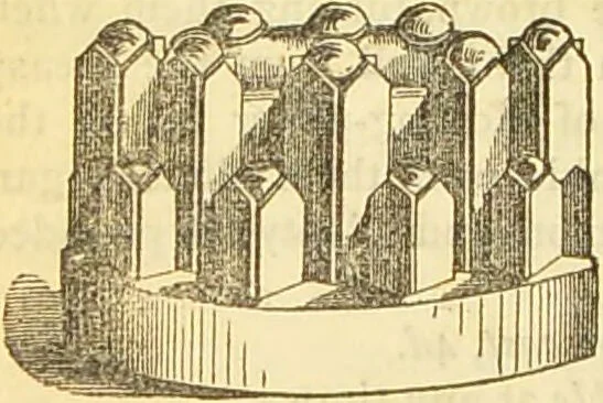 An illustration from The book of household management : comprising information for the mistress ... also, sanitary, medical, & legal memoranda; with a history of the origin, properties, and uses of all things connected with home life and comfort / by Mrs. Isabella Beeton., 1869, leaf 838