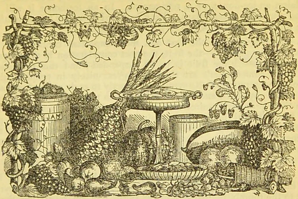 An illustration from The book of household management : comprising information for the mistress ... also, sanitary, medical, & legal memoranda; with a history of the origin, properties, and uses of all things connected with home life and comfort / by Mrs. Isabella Beeton., 1869, leaf 849