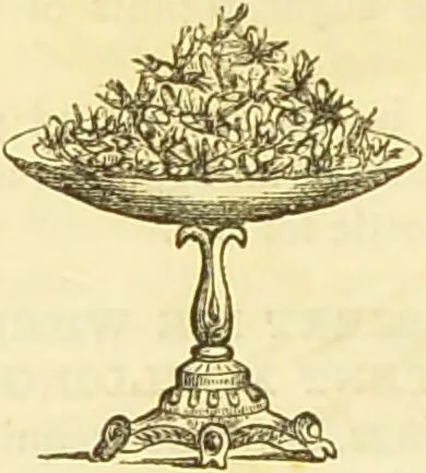 An illustration from The book of household management : comprising information for the mistress ... also, sanitary, medical, & legal memoranda; with a history of the origin, properties, and uses of all things connected with home life and comfort / by Mrs. Isabella Beeton., 1869, leaf 904