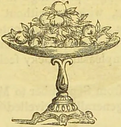 An illustration from The book of household management : comprising information for the mistress ... also, sanitary, medical, & legal memoranda; with a history of the origin, properties, and uses of all things connected with home life and comfort / by Mrs. Isabella Beeton., 1869, leaf 905