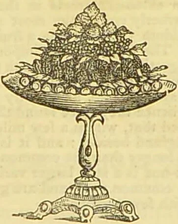 An illustration from The book of household management : comprising information for the mistress ... also, sanitary, medical, & legal memoranda; with a history of the origin, properties, and uses of all things connected with home life and comfort / by Mrs. Isabella Beeton., 1869, leaf 905