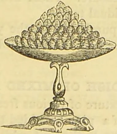 An illustration from The book of household management : comprising information for the mistress ... also, sanitary, medical, & legal memoranda; with a history of the origin, properties, and uses of all things connected with home life and comfort / by Mrs. Isabella Beeton., 1869, leaf 905