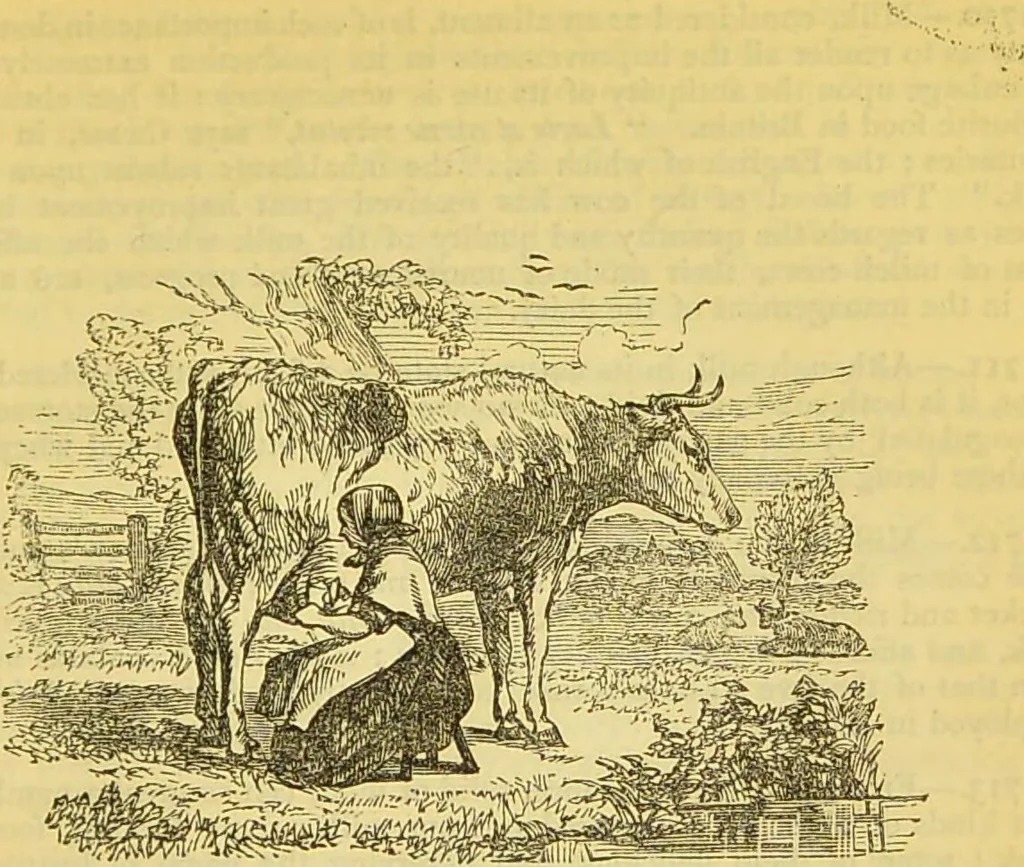 An illustration from The book of household management : comprising information for the mistress ... also, sanitary, medical, & legal memoranda; with a history of the origin, properties, and uses of all things connected with home life and comfort / by Mrs. Isabella Beeton., 1869, leaf 909