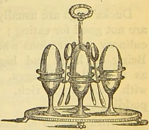 An illustration from The book of household management : comprising information for the mistress ... also, sanitary, medical, & legal memoranda; with a history of the origin, properties, and uses of all things connected with home life and comfort / by Mrs. Isabella Beeton., 1869, leaf 929