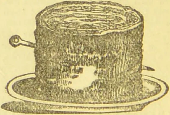 An illustration from Beeton's every-day cookery and housekeeping book : comprising instructions for mistress and servants, and a collection of over sixteen hundred and fifty practical receipts. With numerous wood engravings and one hundred and forty-two coloured figures, showing the proper mode of sending dishes to table., 1888, leaf 114