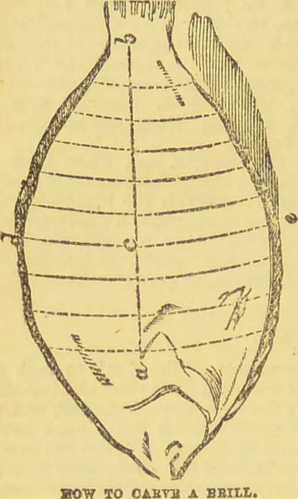An illustration from Beeton's every-day cookery and housekeeping book : comprising instructions for mistress and servants, and a collection of over sixteen hundred and fifty practical receipts. With numerous wood engravings and one hundred and forty-two coloured figures, showing the proper mode of sending dishes to table., 1888, leaf 134