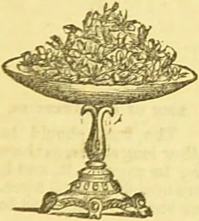 An illustration from Beeton's every-day cookery and housekeeping book : comprising instructions for mistress and servants, and a collection of over sixteen hundred and fifty practical receipts. With numerous wood engravings and one hundred and forty-two coloured figures, showing the proper mode of sending dishes to table., 1888, leaf 189