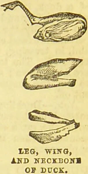 An illustration from Beeton's every-day cookery and housekeeping book : comprising instructions for mistress and servants, and a collection of over sixteen hundred and fifty practical receipts. With numerous wood engravings and one hundred and forty-two coloured figures, showing the proper mode of sending dishes to table., 1888, leaf 193