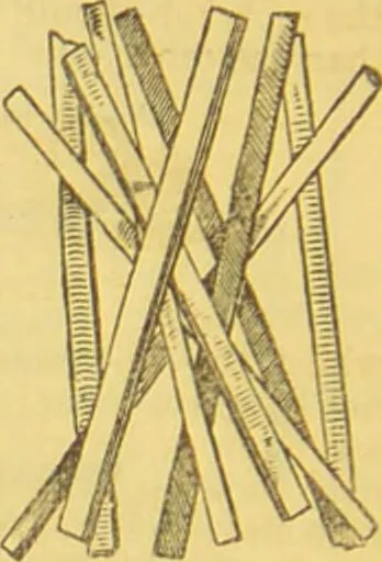 An illustration from Beeton's every-day cookery and housekeeping book : comprising instructions for mistress and servants, and a collection of over sixteen hundred and fifty practical receipts. With numerous wood engravings and one hundred and forty-two coloured figures, showing the proper mode of sending dishes to table., 1888, leaf 260