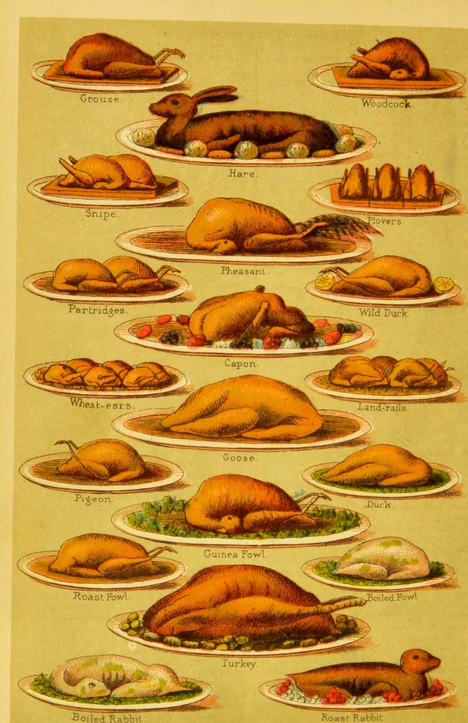 An illustration from Beeton's every-day cookery and housekeeping book : comprising instructions for mistress and servants, and a collection of over sixteen hundred and fifty practical receipts. With numerous wood engravings and one hundred and forty-two coloured figures, showing the proper mode of sending dishes to table., 1888, leaf 282