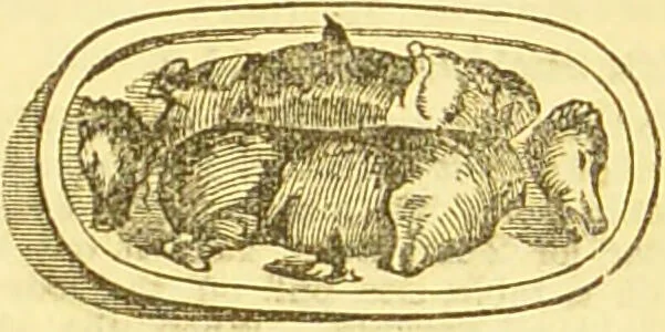 An illustration from Beeton's every-day cookery and housekeeping book : comprising instructions for mistress and servants, and a collection of over sixteen hundred and fifty practical receipts. With numerous wood engravings and one hundred and forty-two coloured figures, showing the proper mode of sending dishes to table., 1888, leaf 339