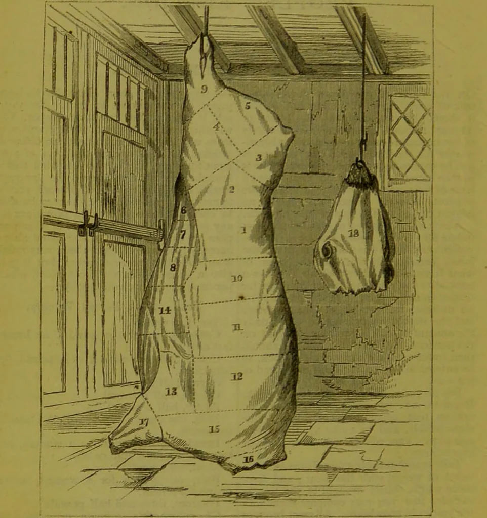 An illustration from Warne's model cookery and housekeeping book : containing complete instructions in household management, and receipts for breakfast dishes ... bills of fare, duties of servants, etc. / compiled and edited by Mary Jewry., 1871, leaf 12