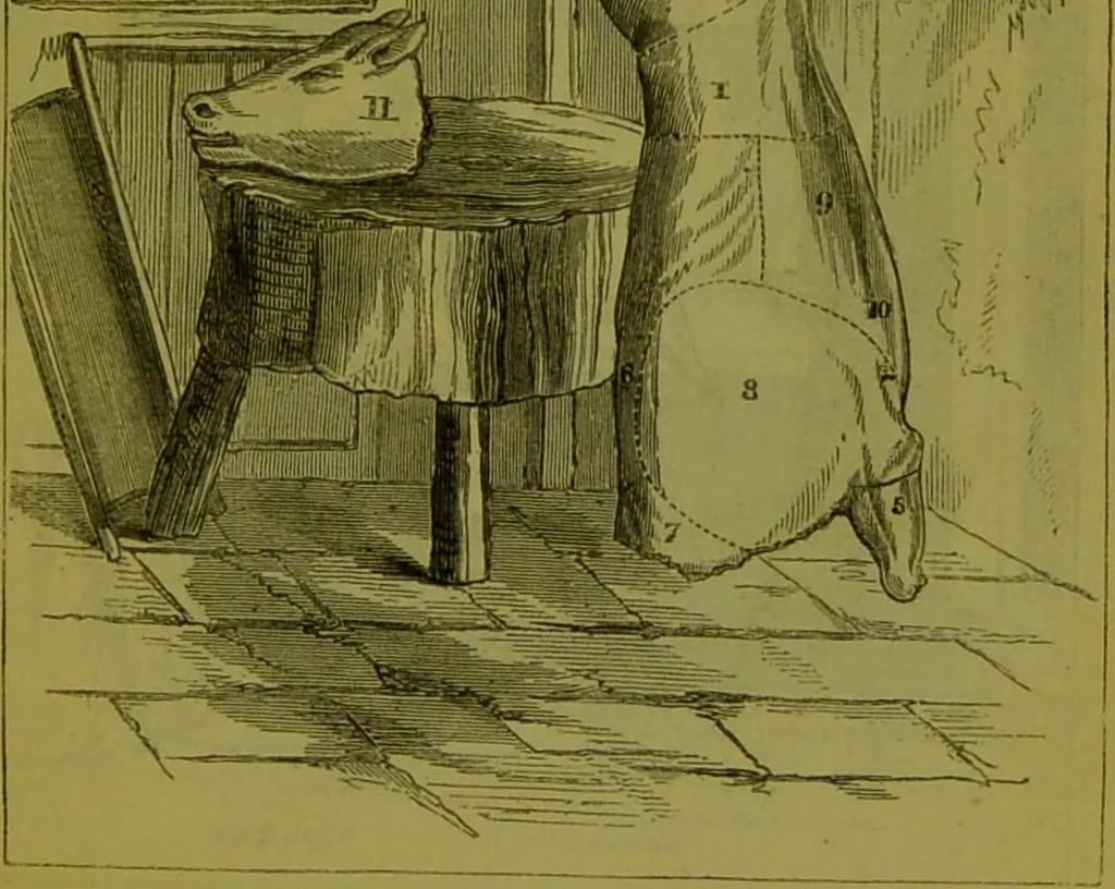 An illustration from Warne's model cookery and housekeeping book : containing complete instructions in household management, and receipts for breakfast dishes ... bills of fare, duties of servants, etc. / compiled and edited by Mary Jewry., 1871, leaf 13