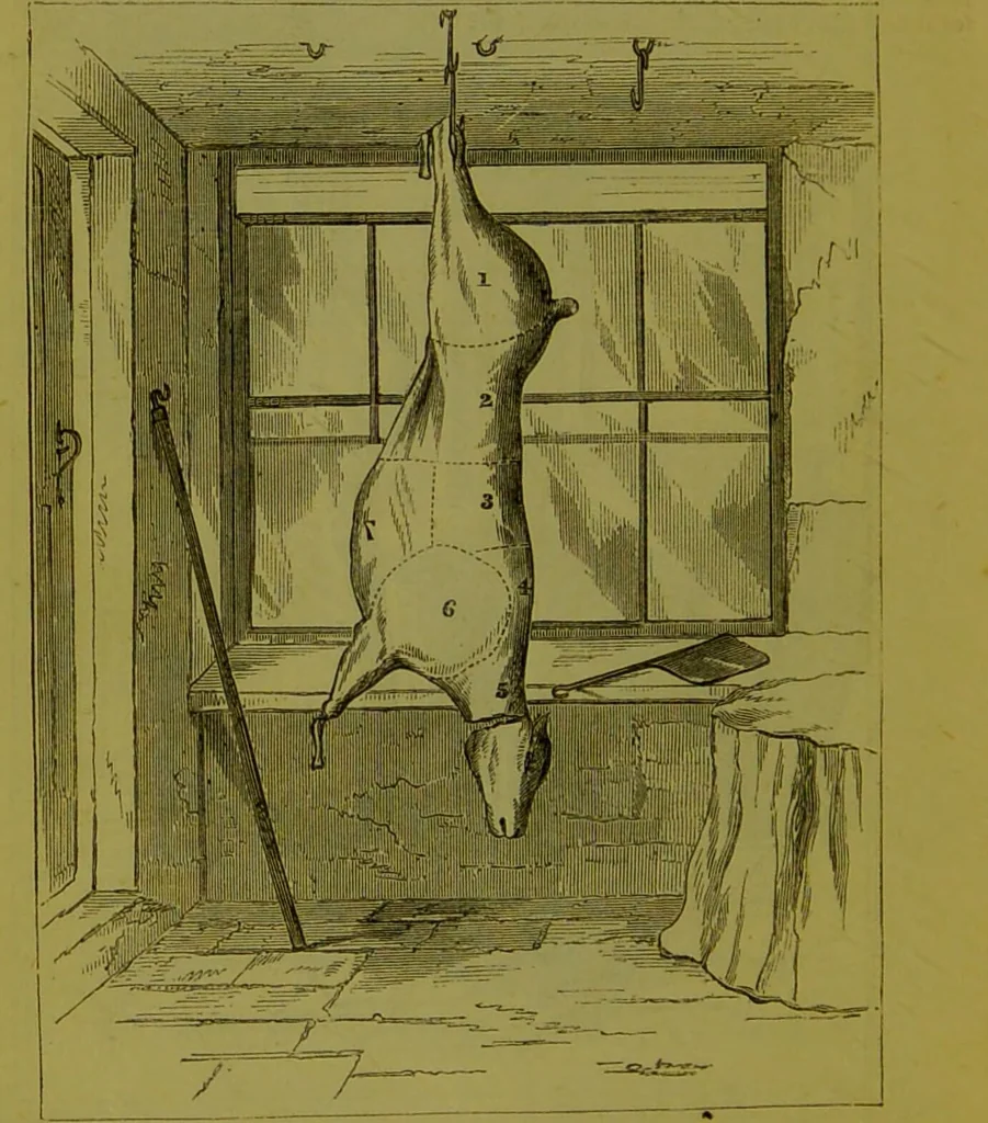 An illustration from Warne's model cookery and housekeeping book : containing complete instructions in household management, and receipts for breakfast dishes ... bills of fare, duties of servants, etc. / compiled and edited by Mary Jewry., 1871, leaf 14