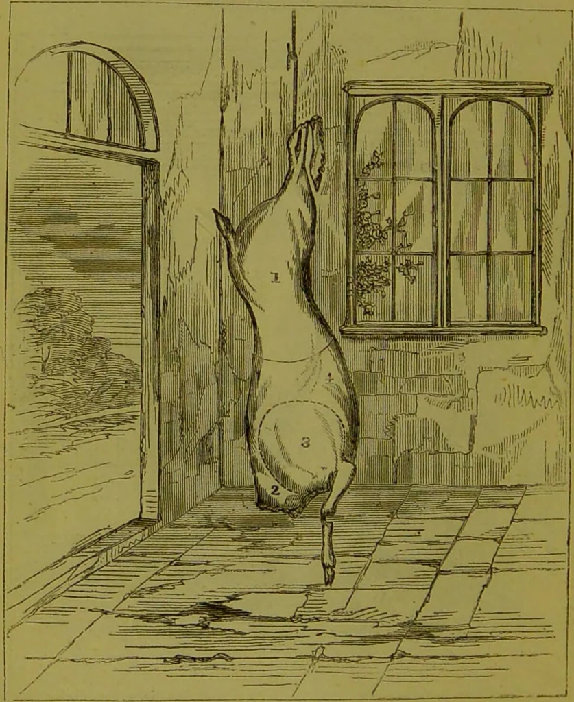 An illustration from Warne's model cookery and housekeeping book : containing complete instructions in household management, and receipts for breakfast dishes ... bills of fare, duties of servants, etc. / compiled and edited by Mary Jewry., 1871, leaf 16