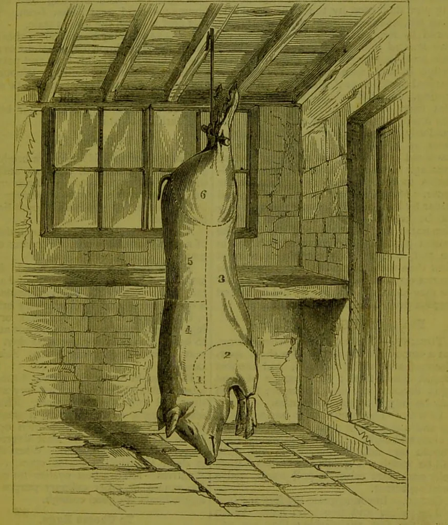 An illustration from Warne's model cookery and housekeeping book : containing complete instructions in household management, and receipts for breakfast dishes ... bills of fare, duties of servants, etc. / compiled and edited by Mary Jewry., 1871, leaf 17