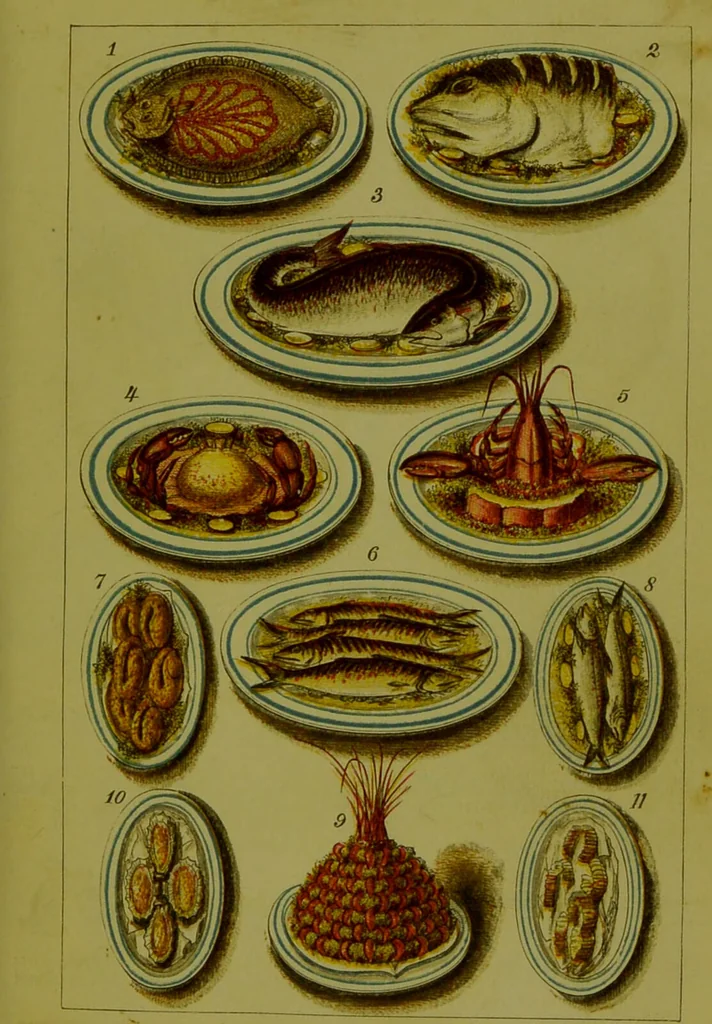 An illustration from Warne's model cookery and housekeeping book : containing complete instructions in household management, and receipts for breakfast dishes ... bills of fare, duties of servants, etc. / compiled and edited by Mary Jewry., 1871, leaf 27