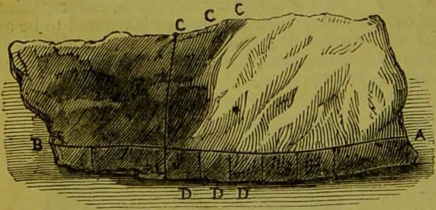 An illustration from Warne's model cookery and housekeeping book : containing complete instructions in household management, and receipts for breakfast dishes ... bills of fare, duties of servants, etc. / compiled and edited by Mary Jewry., 1871, leaf 36