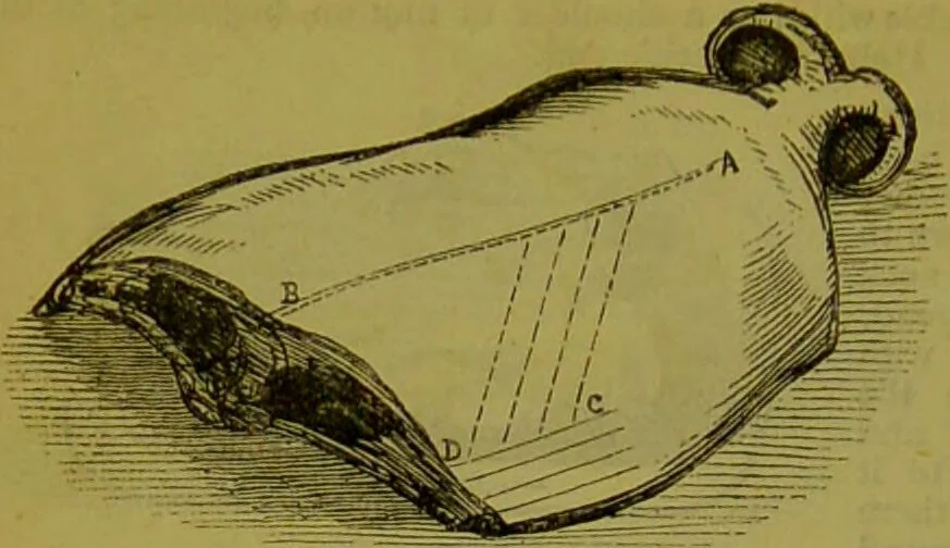 An illustration from Warne's model cookery and housekeeping book : containing complete instructions in household management, and receipts for breakfast dishes ... bills of fare, duties of servants, etc. / compiled and edited by Mary Jewry., 1871, leaf 38