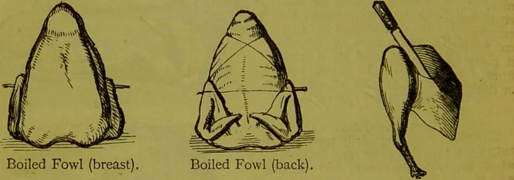 An illustration from Warne's model cookery and housekeeping book : containing complete instructions in household management, and receipts for breakfast dishes ... bills of fare, duties of servants, etc. / compiled and edited by Mary Jewry., 1871, leaf 40