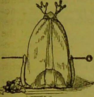 An illustration from Warne's model cookery and housekeeping book : containing complete instructions in household management, and receipts for breakfast dishes ... bills of fare, duties of servants, etc. / compiled and edited by Mary Jewry., 1871, leaf 41