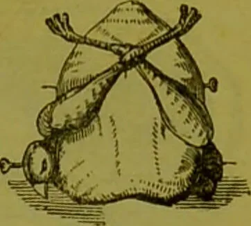 An illustration from Warne's model cookery and housekeeping book : containing complete instructions in household management, and receipts for breakfast dishes ... bills of fare, duties of servants, etc. / compiled and edited by Mary Jewry., 1871, leaf 41
