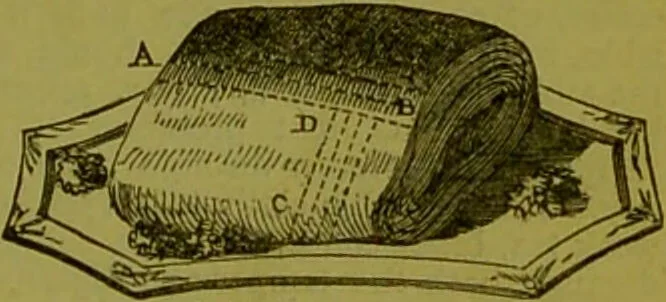 An illustration from Warne's model cookery and housekeeping book : containing complete instructions in household management, and receipts for breakfast dishes ... bills of fare, duties of servants, etc. / compiled and edited by Mary Jewry., 1871, leaf 41