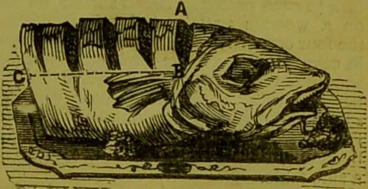 An illustration from Warne's model cookery and housekeeping book : containing complete instructions in household management, and receipts for breakfast dishes ... bills of fare, duties of servants, etc. / compiled and edited by Mary Jewry., 1871, leaf 41