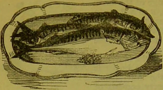 An illustration from Warne's model cookery and housekeeping book : containing complete instructions in household management, and receipts for breakfast dishes ... bills of fare, duties of servants, etc. / compiled and edited by Mary Jewry., 1871, leaf 42