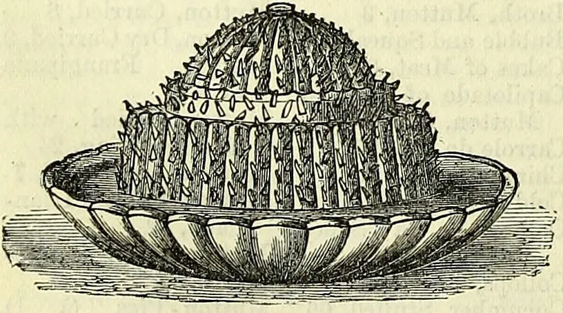 An illustration from Cassell's dictionary of cookery, with numerous engravings and full-page coloured plates : containing about nine thousand recipes., 1880, leaf 1108
