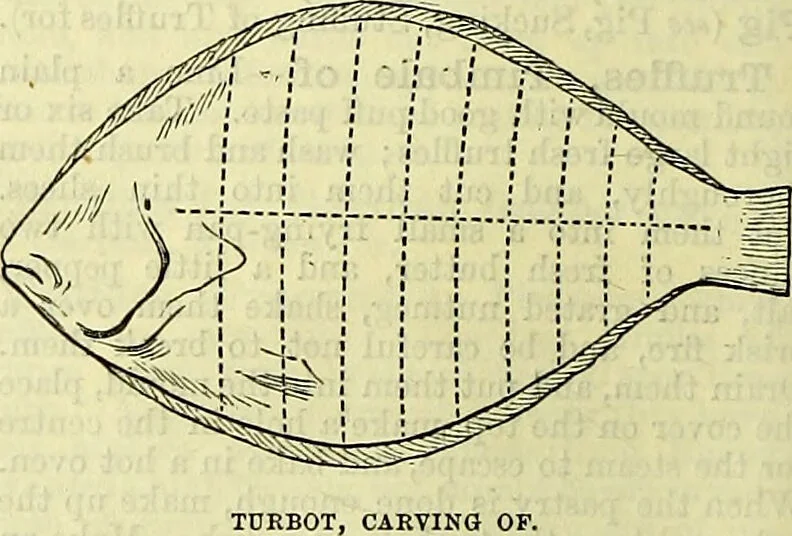 An illustration from Cassell's dictionary of cookery, with numerous engravings and full-page coloured plates : containing about nine thousand recipes., 1880, leaf 1130