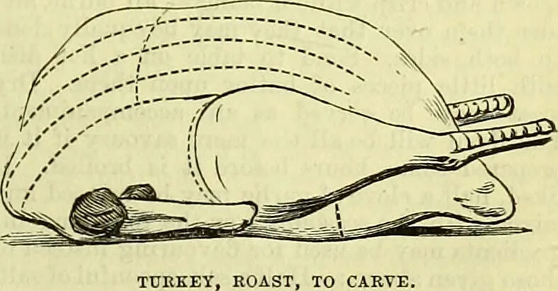 An illustration from Cassell's dictionary of cookery, with numerous engravings and full-page coloured plates : containing about nine thousand recipes., 1880, leaf 1135