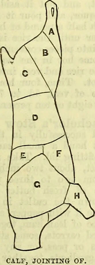 An illustration from Cassell's dictionary of cookery, with numerous engravings and full-page coloured plates : containing about nine thousand recipes., 1880, leaf 1157