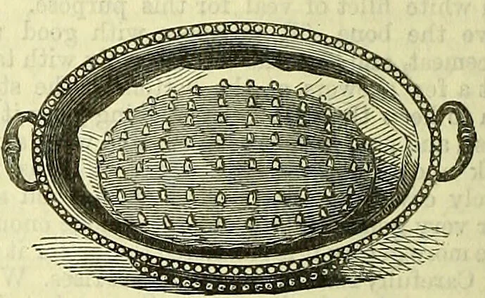 An illustration from Cassell's dictionary of cookery, with numerous engravings and full-page coloured plates : containing about nine thousand recipes., 1880, leaf 1176