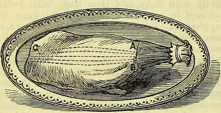 An illustration from Cassell's dictionary of cookery, with numerous engravings and full-page coloured plates : containing about nine thousand recipes., 1880, leaf 1212