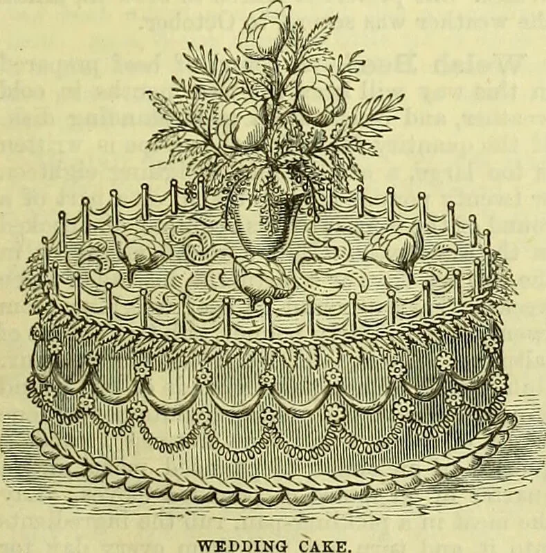 An illustration from Cassell's dictionary of cookery, with numerous engravings and full-page coloured plates : containing about nine thousand recipes., 1880, leaf 1235