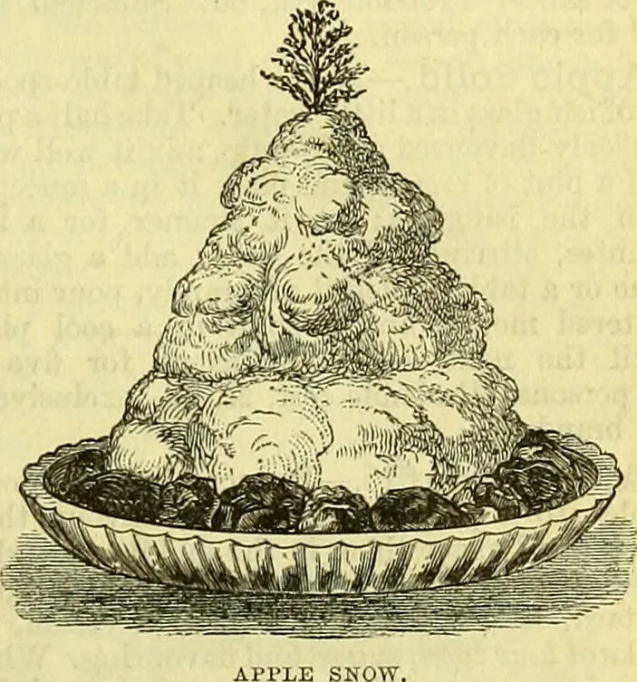 An illustration from Cassell's dictionary of cookery, with numerous engravings and full-page coloured plates : containing about nine thousand recipes., 1880, leaf 133