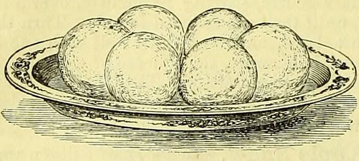 An illustration from Cassell's dictionary of cookery, with numerous engravings and full-page coloured plates : containing about nine thousand recipes., 1880, leaf 134