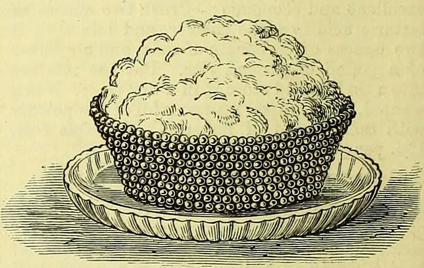 An illustration from Cassell's dictionary of cookery, with numerous engravings and full-page coloured plates : containing about nine thousand recipes., 1880, leaf 158