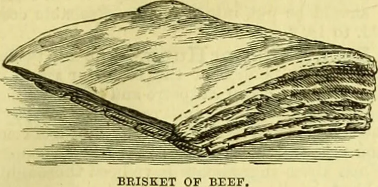 An illustration from Cassell's dictionary of cookery, with numerous engravings and full-page coloured plates : containing about nine thousand recipes., 1880, leaf 167