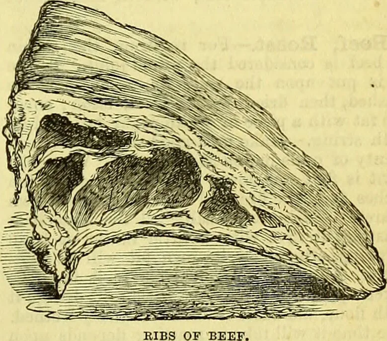 An illustration from Cassell's dictionary of cookery, with numerous engravings and full-page coloured plates : containing about nine thousand recipes., 1880, leaf 173