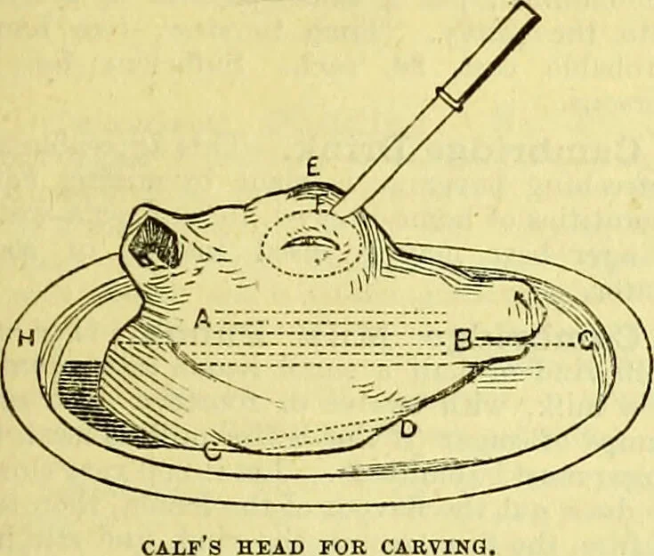 An illustration from Cassell's dictionary of cookery, with numerous engravings and full-page coloured plates : containing about nine thousand recipes., 1880, leaf 215