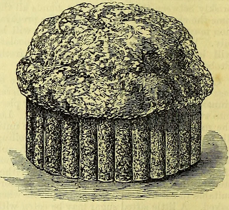 An illustration from Cassell's dictionary of cookery, with numerous engravings and full-page coloured plates : containing about nine thousand recipes., 1880, leaf 252