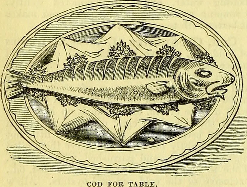 An illustration from Cassell's dictionary of cookery, with numerous engravings and full-page coloured plates : containing about nine thousand recipes., 1880, leaf 262