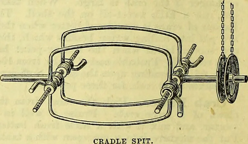 An illustration from Cassell's dictionary of cookery, with numerous engravings and full-page coloured plates : containing about nine thousand recipes., 1880, leaf 274