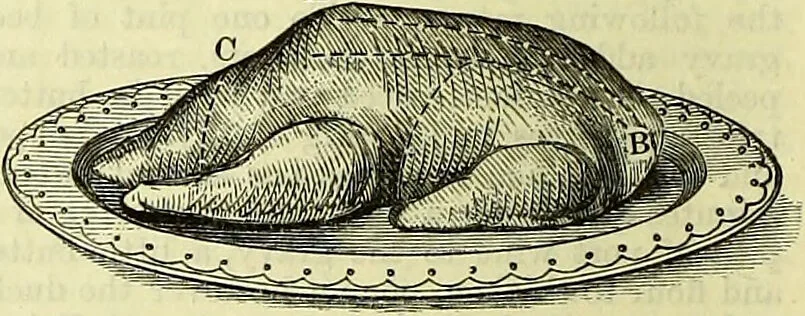 An illustration from Cassell's dictionary of cookery, with numerous engravings and full-page coloured plates : containing about nine thousand recipes., 1880, leaf 304