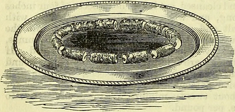 An illustration from Cassell's dictionary of cookery, with numerous engravings and full-page coloured plates : containing about nine thousand recipes., 1880, leaf 310
