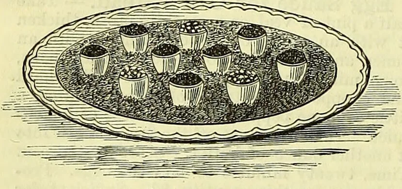 An illustration from Cassell's dictionary of cookery, with numerous engravings and full-page coloured plates : containing about nine thousand recipes., 1880, leaf 312